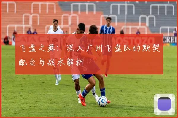 飞盘之舞：深入广州飞盘队的默契配合与战术解析