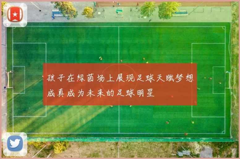孩子在绿茵场上展现足球天赋梦想成真成为未来的足球明星