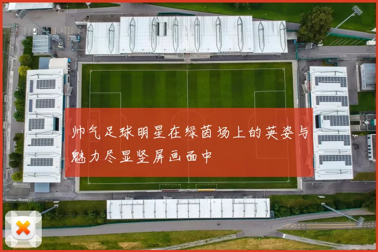 帅气足球明星在绿茵场上的英姿与魅力尽显竖屏画面中