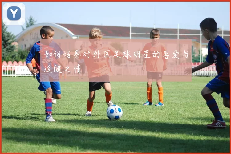 如何培养对外国足球明星的喜爱与追随之情