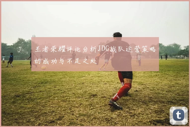 王者荣耀评论分析JDG战队运营策略的成功与不足之处