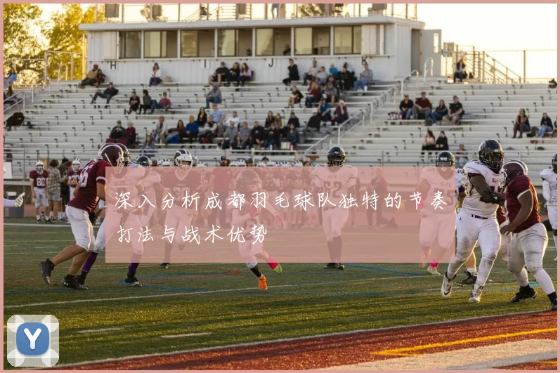 深入分析成都羽毛球队独特的节奏打法与战术优势