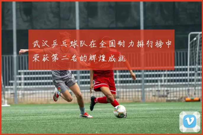 武汉乒乓球队在全国耐力排行榜中荣获第二名的辉煌成就