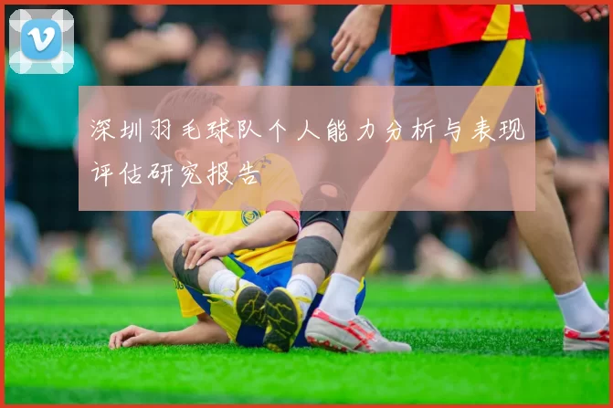 深圳羽毛球队个人能力分析与表现评估研究报告