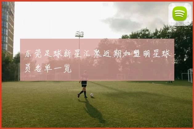 东莞足球新星汇聚近期加盟明星球员名单一览