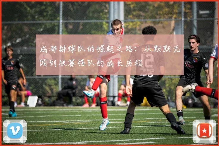 成都排球队的崛起之路：从默默无闻到联赛强队的成长历程