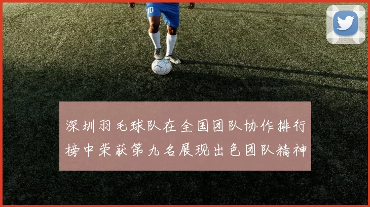 深圳羽毛球队在全国团队协作排行榜中荣获第九名展现出色团队精神与实力