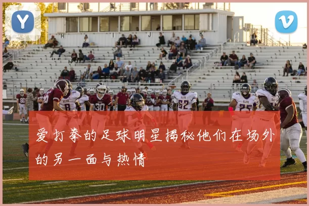 爱打拳的足球明星揭秘他们在场外的另一面与热情