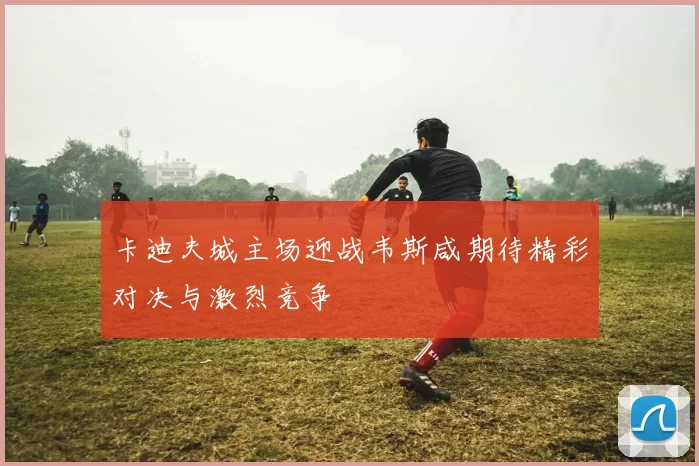卡迪夫城主场迎战韦斯咸期待精彩对决与激烈竞争