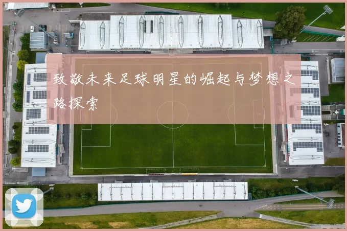 致敬未来足球明星的崛起与梦想之路探索