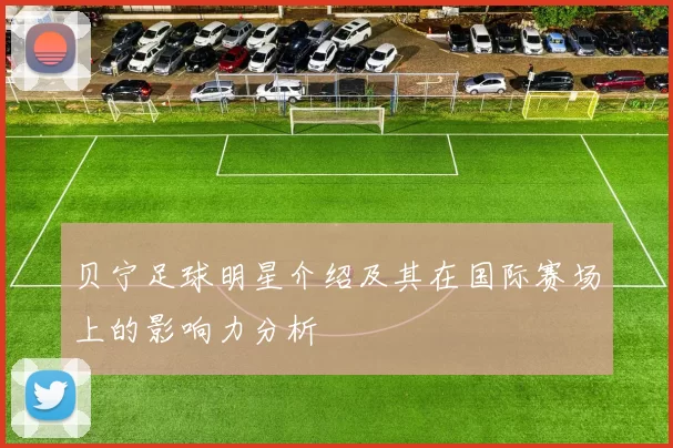 贝宁足球明星介绍及其在国际赛场上的影响力分析