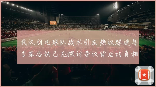 武汉羽毛球队战术引发热议球迷与专家各执己见探讨争议背后的真相