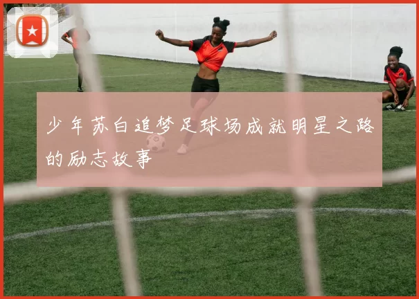 少年苏白追梦足球场成就明星之路的励志故事