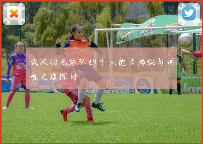武汉羽毛球队的个人能力揭秘与训练之道探讨