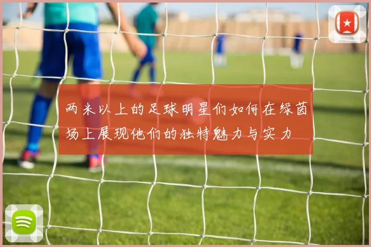 两米以上的足球明星们如何在绿茵场上展现他们的独特魅力与实力