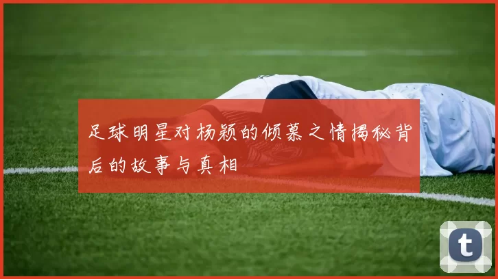 足球明星对杨颖的倾慕之情揭秘背后的故事与真相