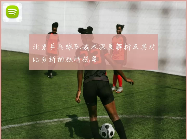 北京乒乓球队战术深度解析及其对比分析的独特视角