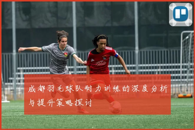 成都羽毛球队耐力训练的深度分析与提升策略探讨