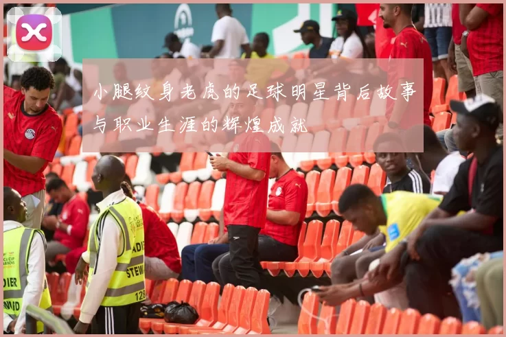 小腿纹身老虎的足球明星背后故事与职业生涯的辉煌成就