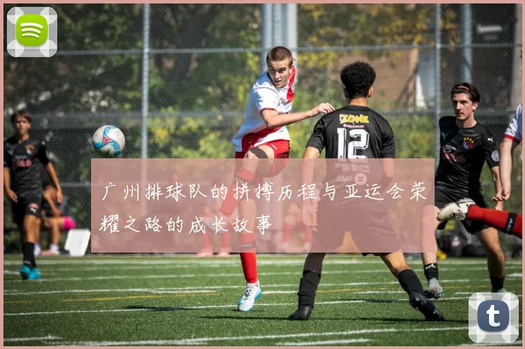 广州排球队的拼搏历程与亚运会荣耀之路的成长故事