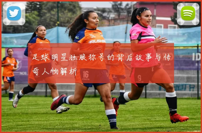 足球明星独狼称号的背后故事与传奇人物解析