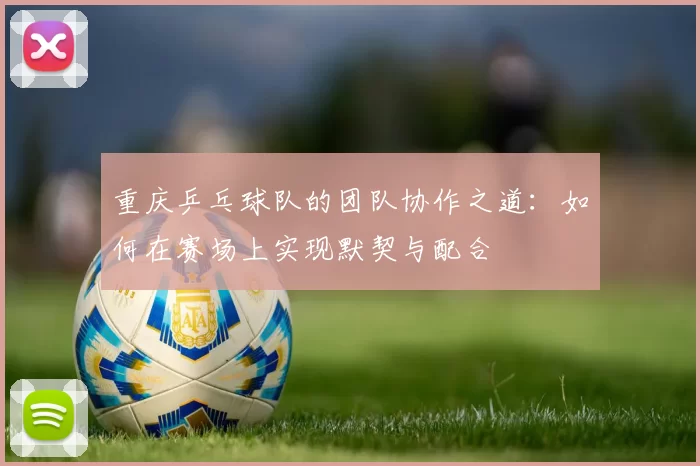重庆乒乓球队的团队协作之道：如何在赛场上实现默契与配合