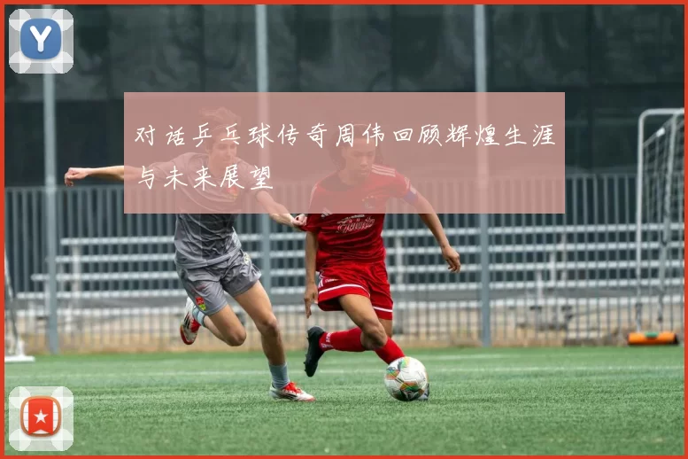 对话乒乓球传奇周伟回顾辉煌生涯与未来展望