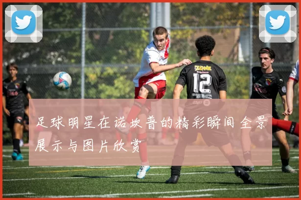 足球明星在诺坎普的精彩瞬间全景展示与图片欣赏