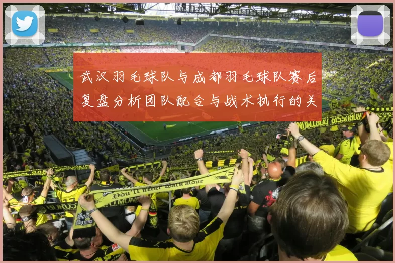 武汉羽毛球队与成都羽毛球队赛后复盘分析团队配合与战术执行的关键因素