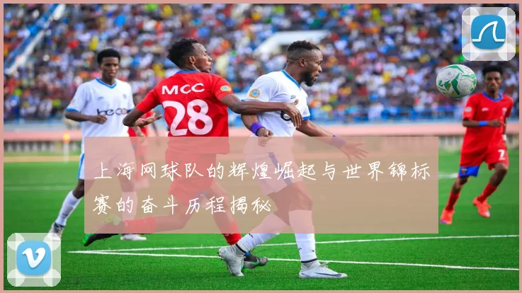 上海网球队的辉煌崛起与世界锦标赛的奋斗历程揭秘