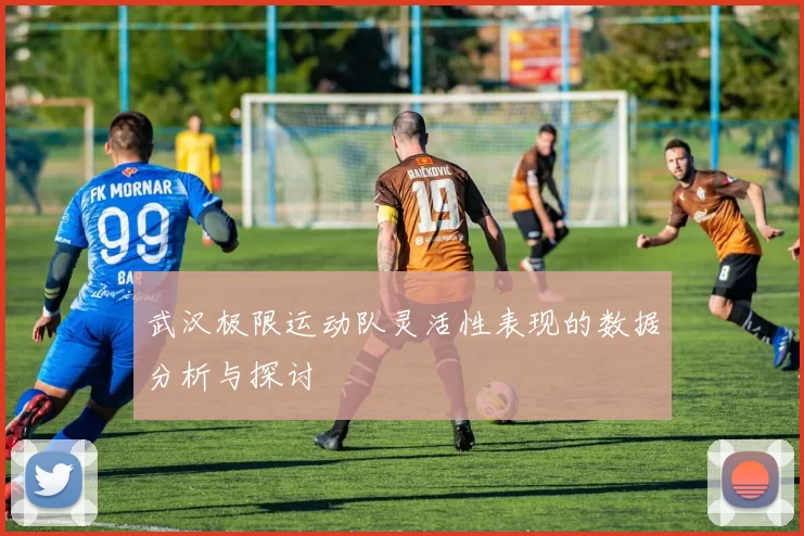 武汉极限运动队灵活性表现的数据分析与探讨