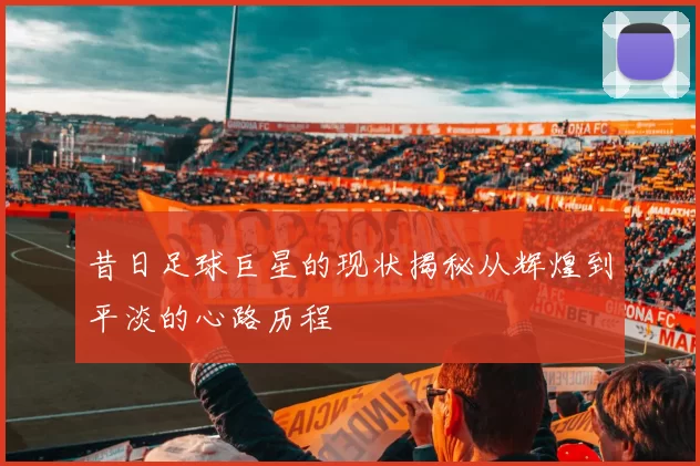 昔日足球巨星的现状揭秘从辉煌到平淡的心路历程